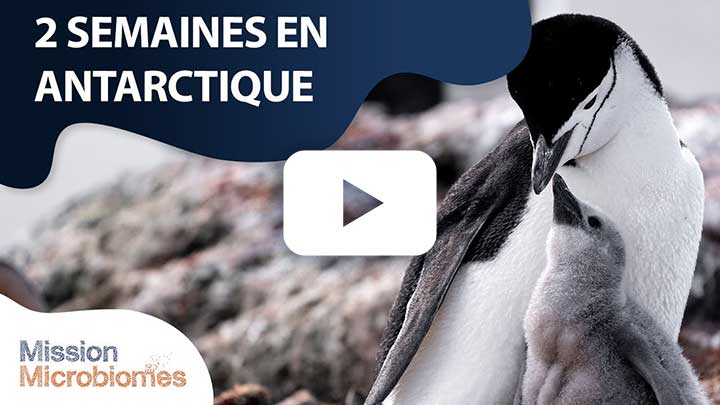 2 semaines en Antarctique
