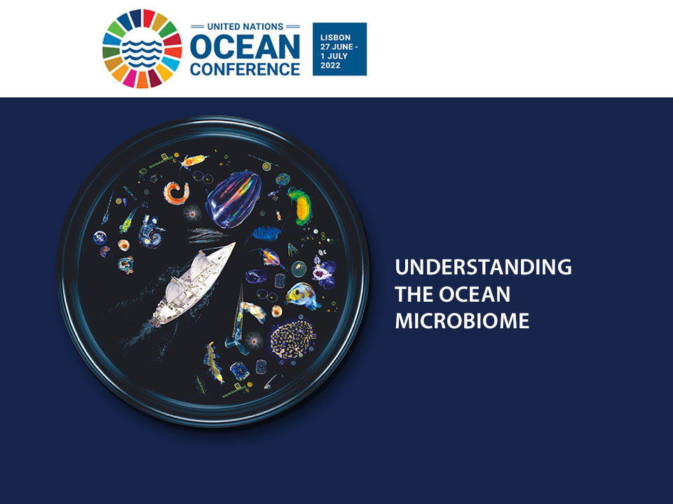 Understanding the ocean microbiome