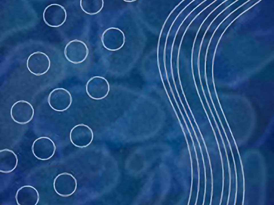 Workshop SymBioDiversity