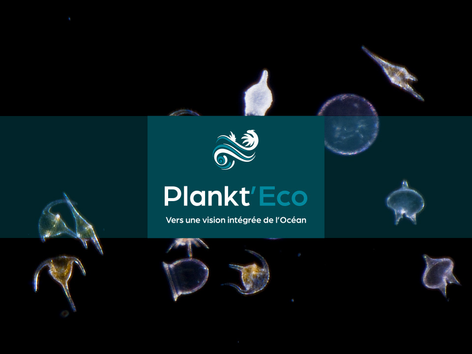 Plankt'Eco