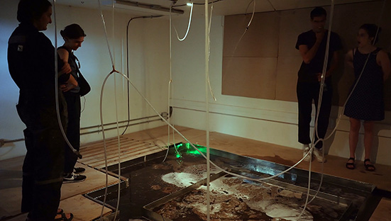 Holobionte, de Diego Silva (UC)