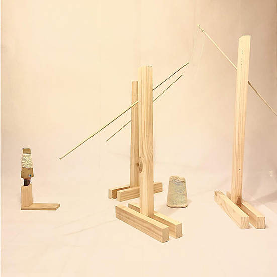 TEJIDOS: De humanos a máquinas vivas, de Viviana Vergara (U. de Chile)