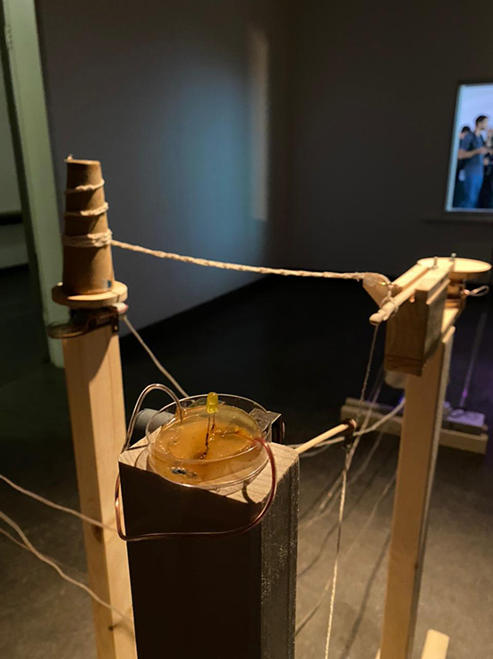 TEJIDOS: De humanos a máquinas vivas, de Viviana Vergara (U. de Chile).