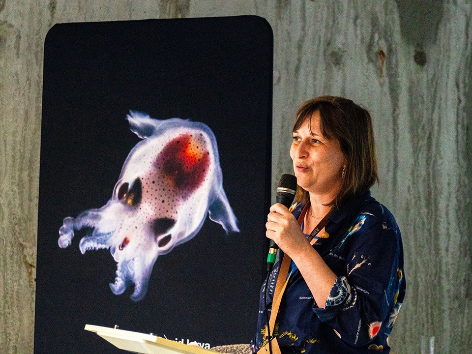 Credits: Arthur Billaud - Fondation Tara Océan